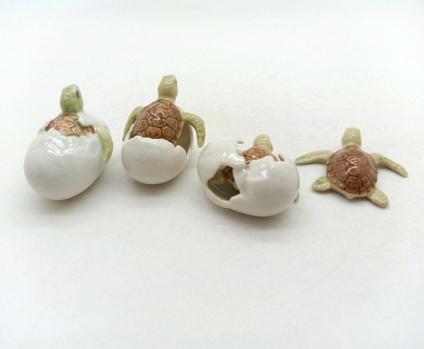 4 Sea Baby Turtles