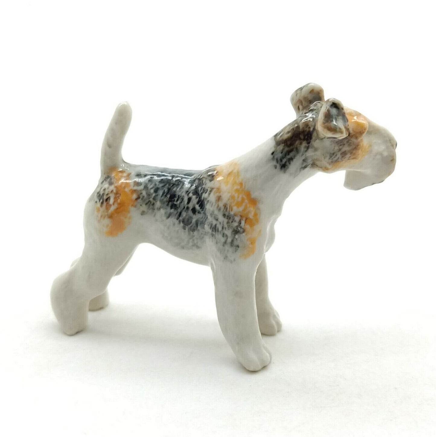 Wire Fox Terrier