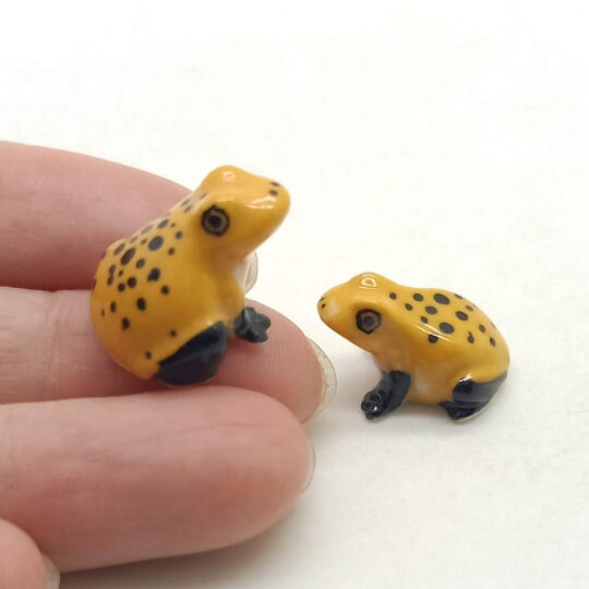 Pair of 2 Tiny Frogs
