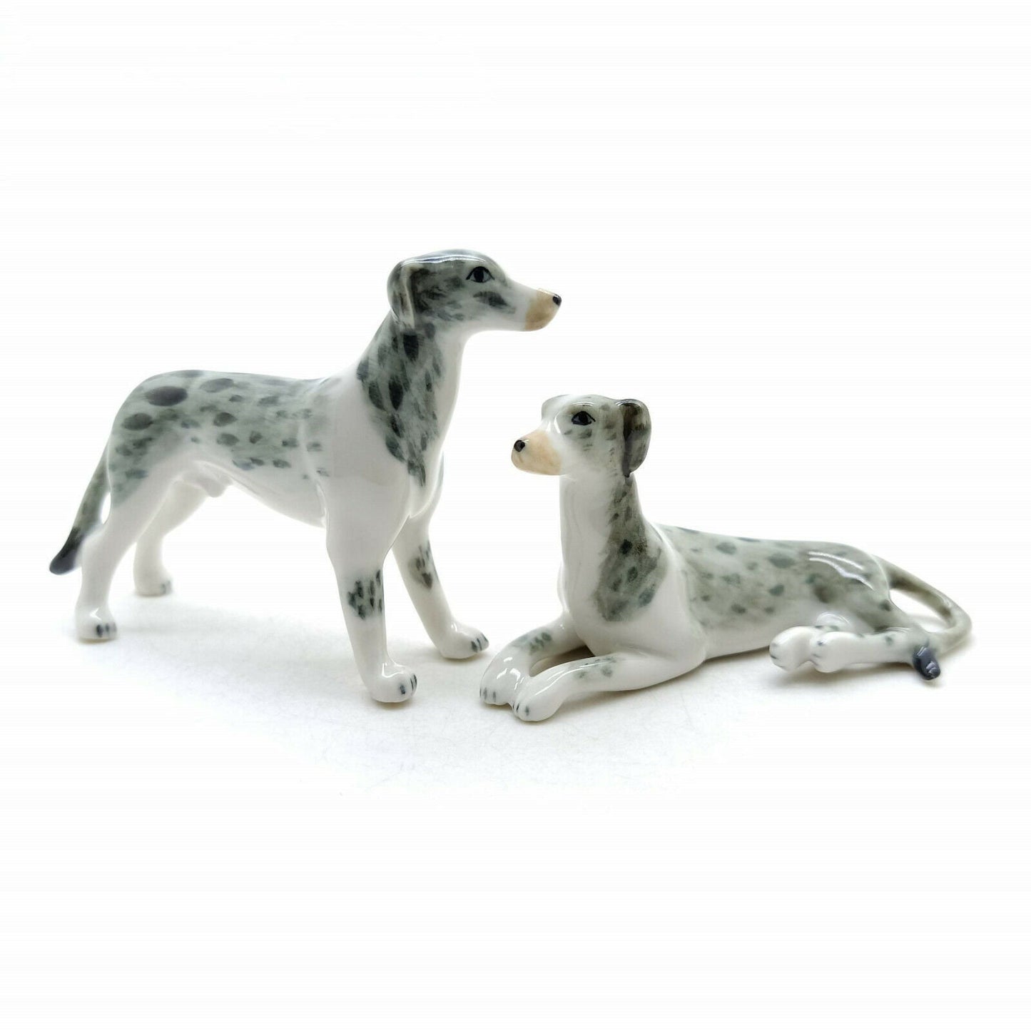 2 Greyhound Dogs