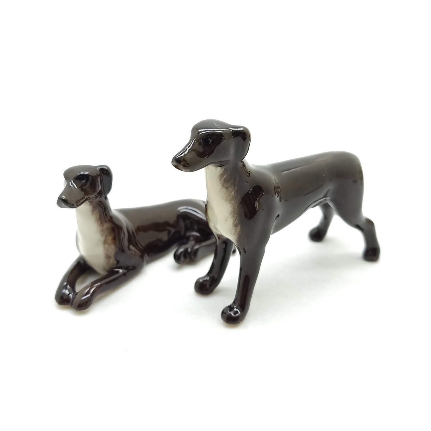2 Greyhound Dogs