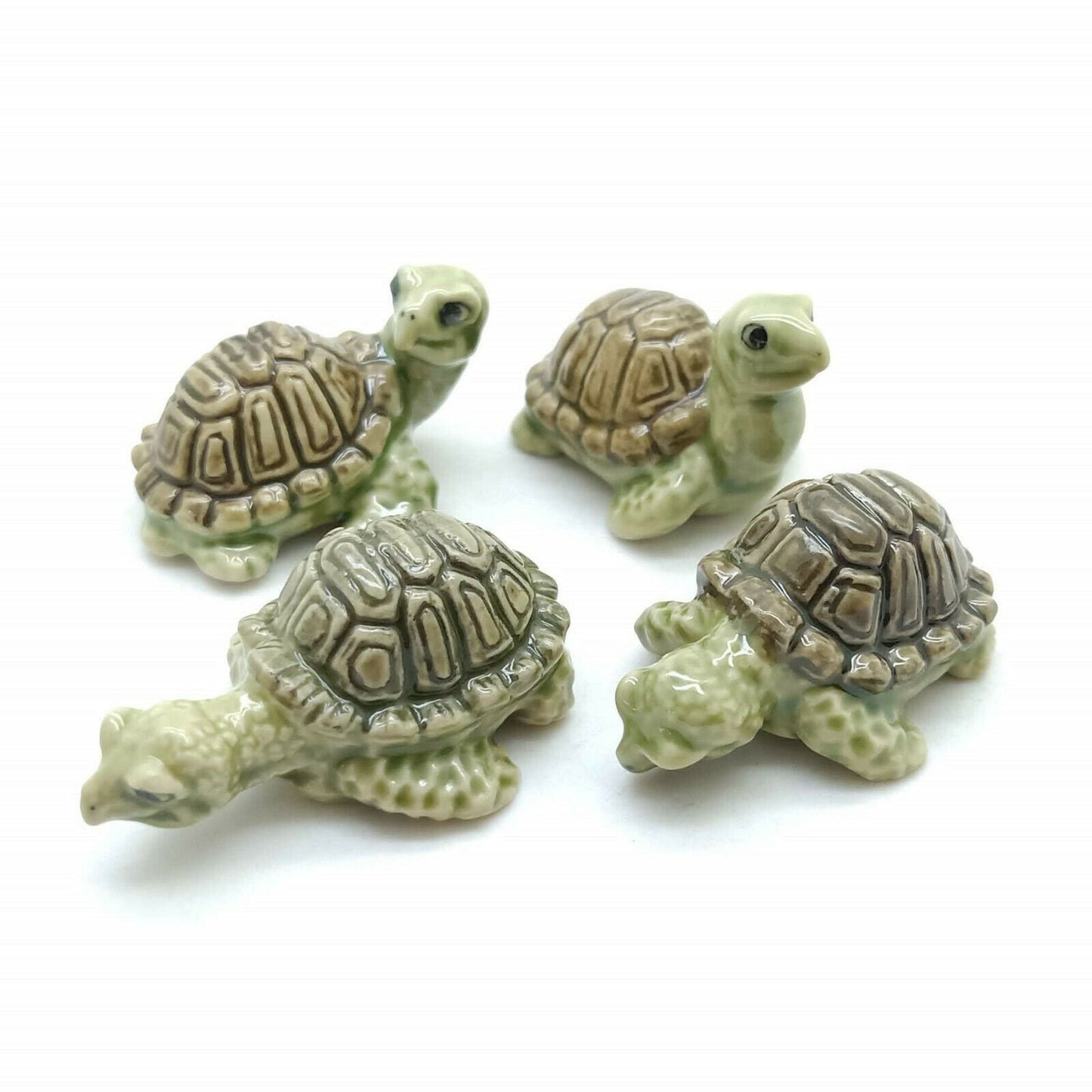 Set of 4 Turtles