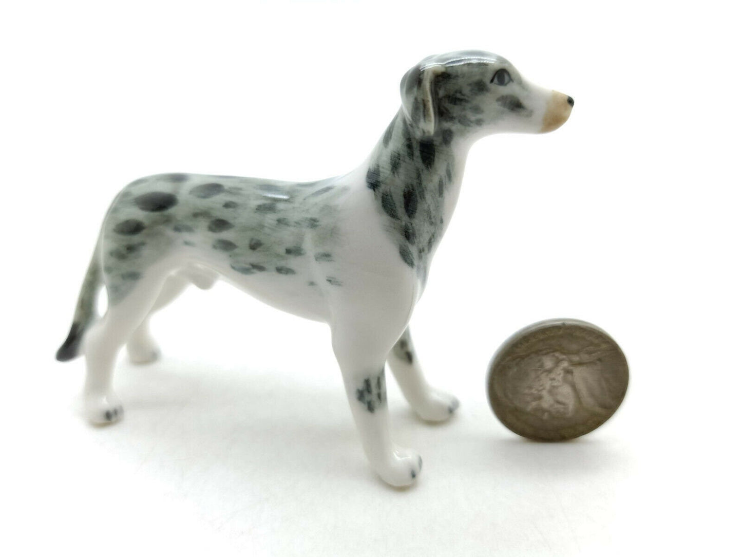 2 Greyhound Dogs