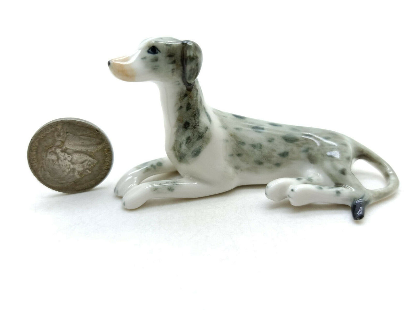 2 Greyhound Dogs
