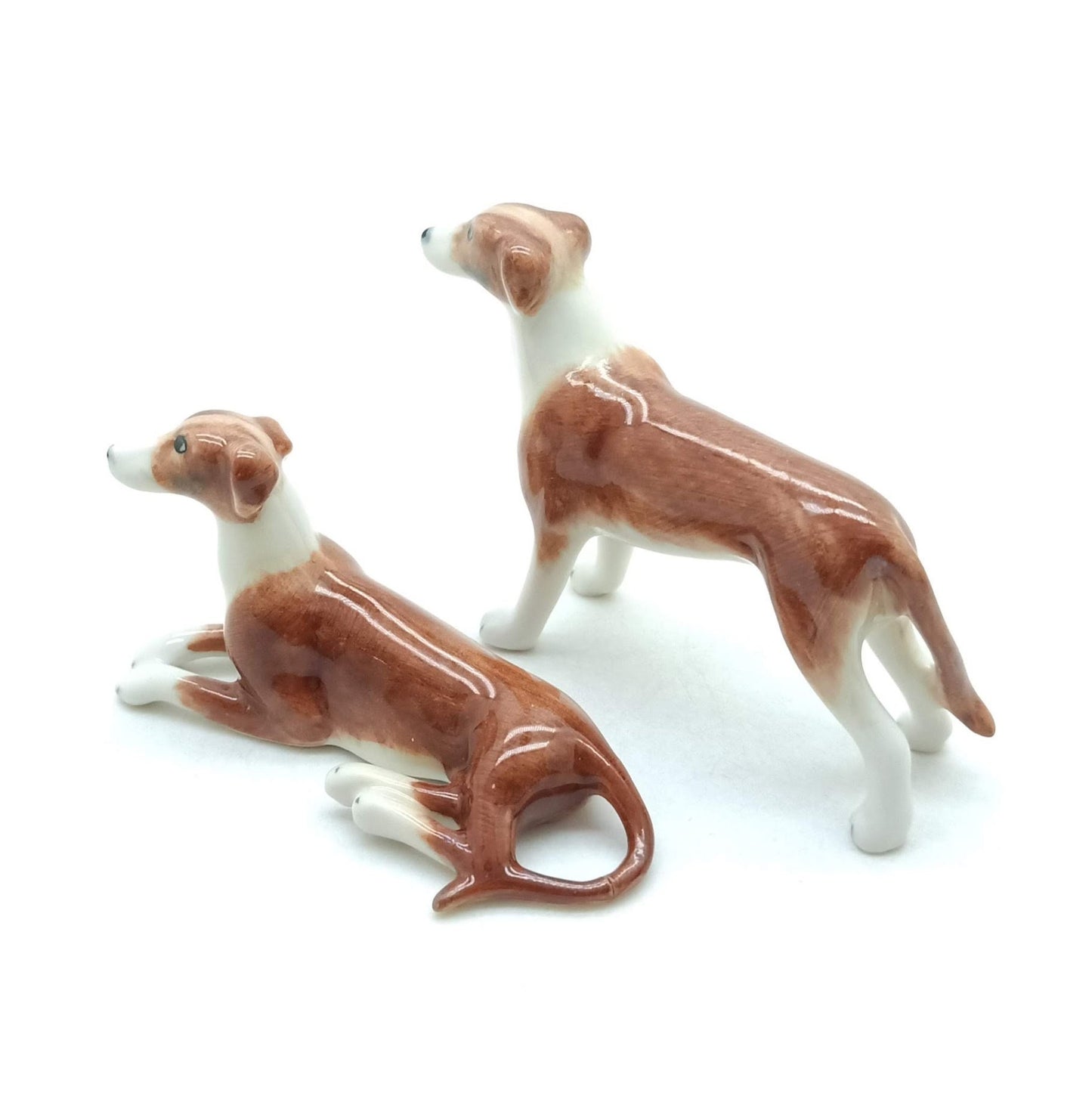 2 Greyhound Dogs