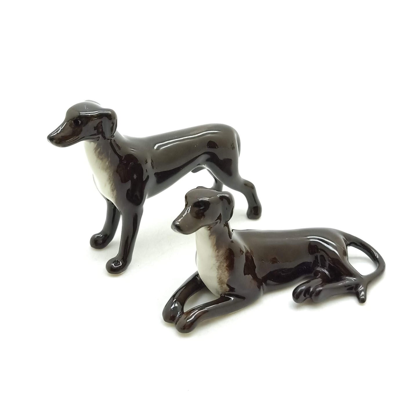 2 Greyhound Dogs