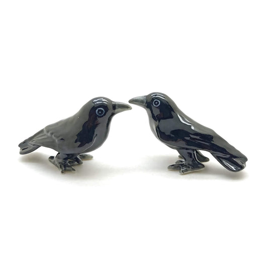 2 Black Crows Raven