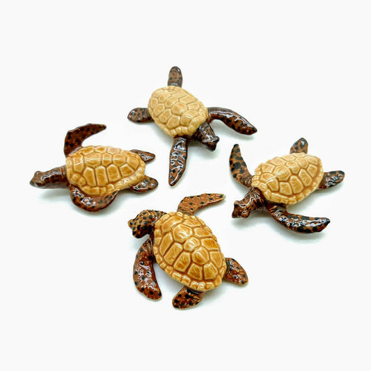 4 Brown Sea Turtles