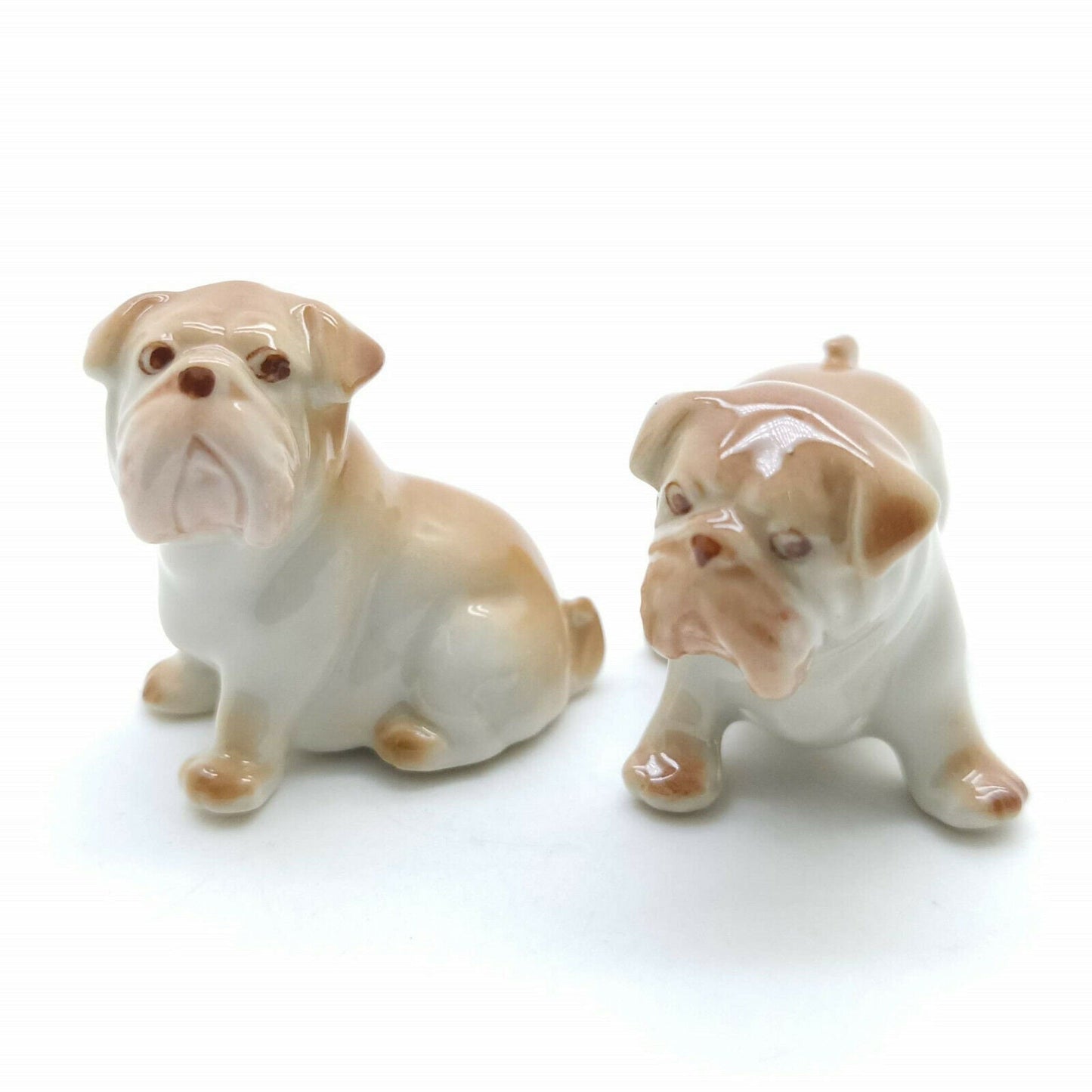 2 Brown Bulldog Dogs