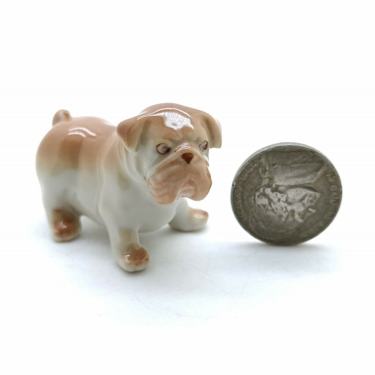 2 Brown Bulldog Dogs