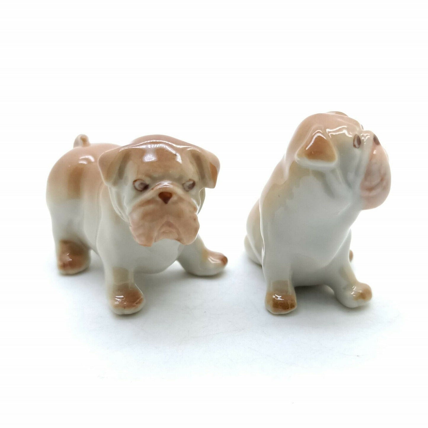 2 Brown Bulldog Dogs