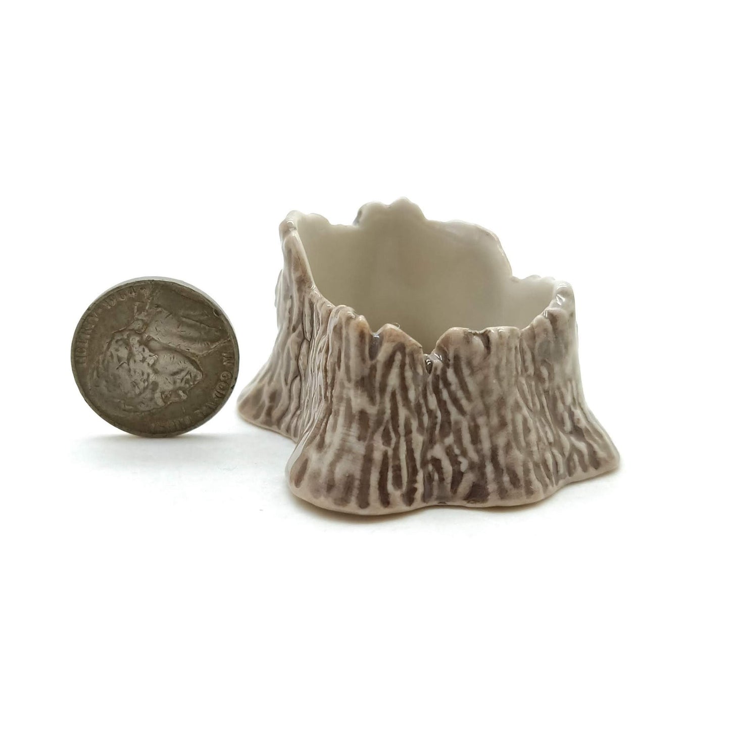 2 Hedgehog Porcupines with Tree Trunk