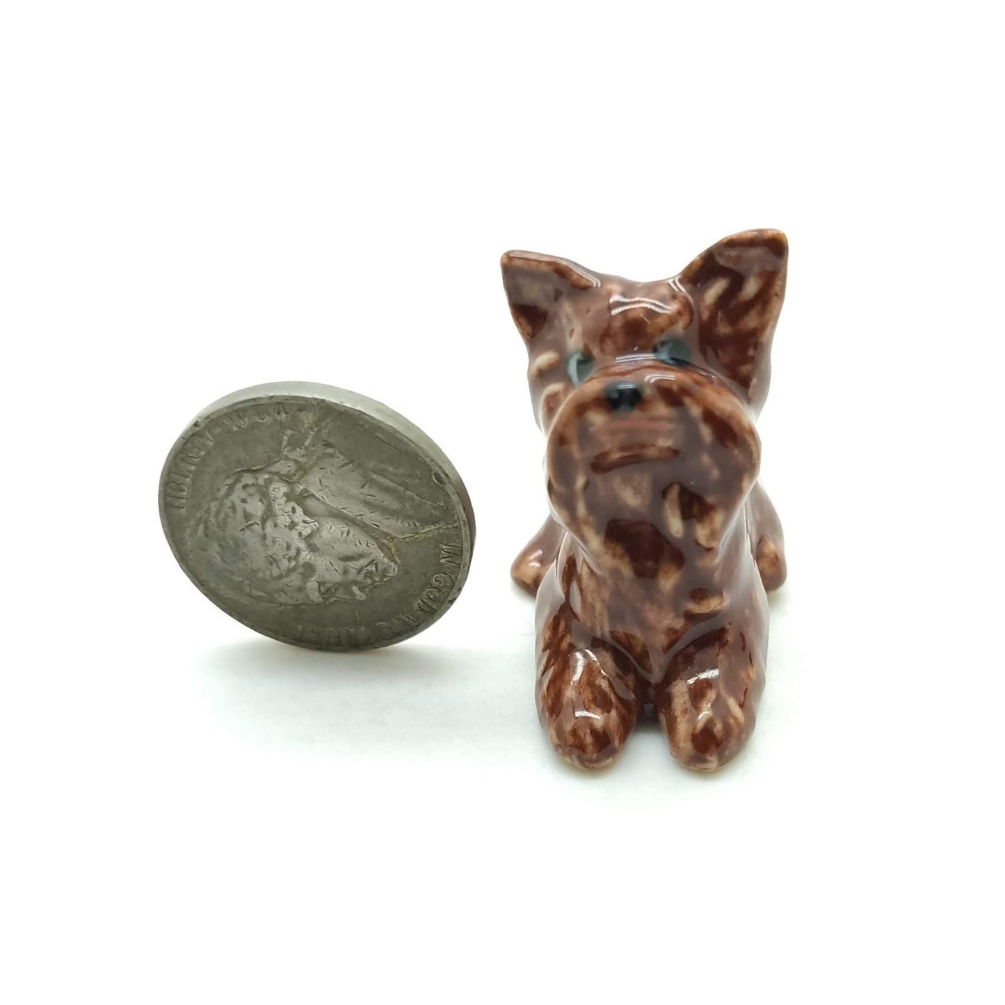 3 Yorkshire Terrier
