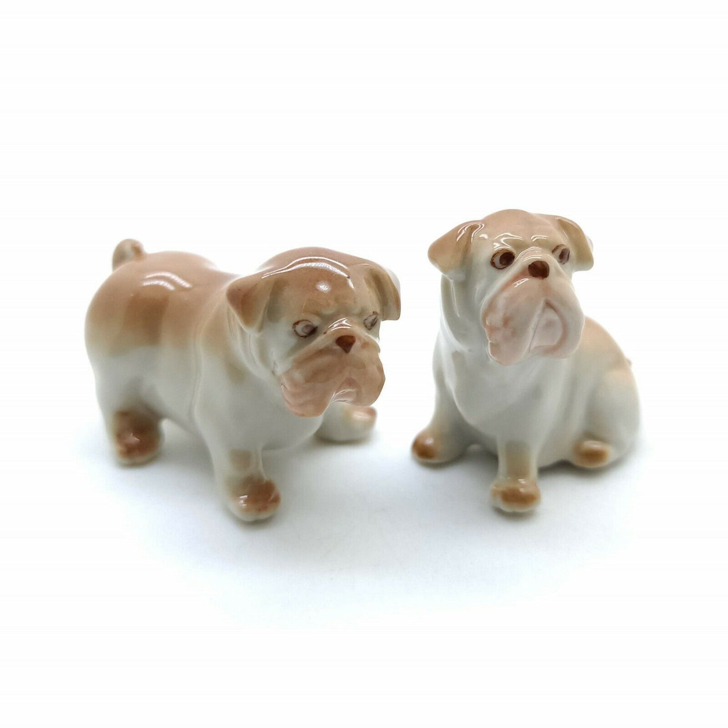 2 Brown Bulldog Dogs