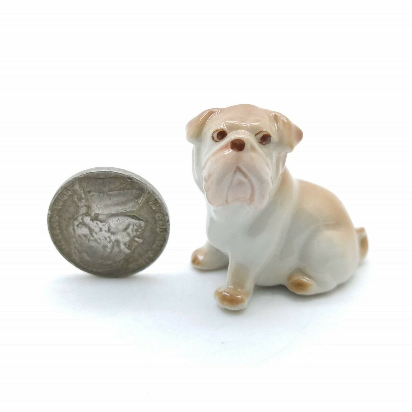 2 Brown Bulldog Dogs