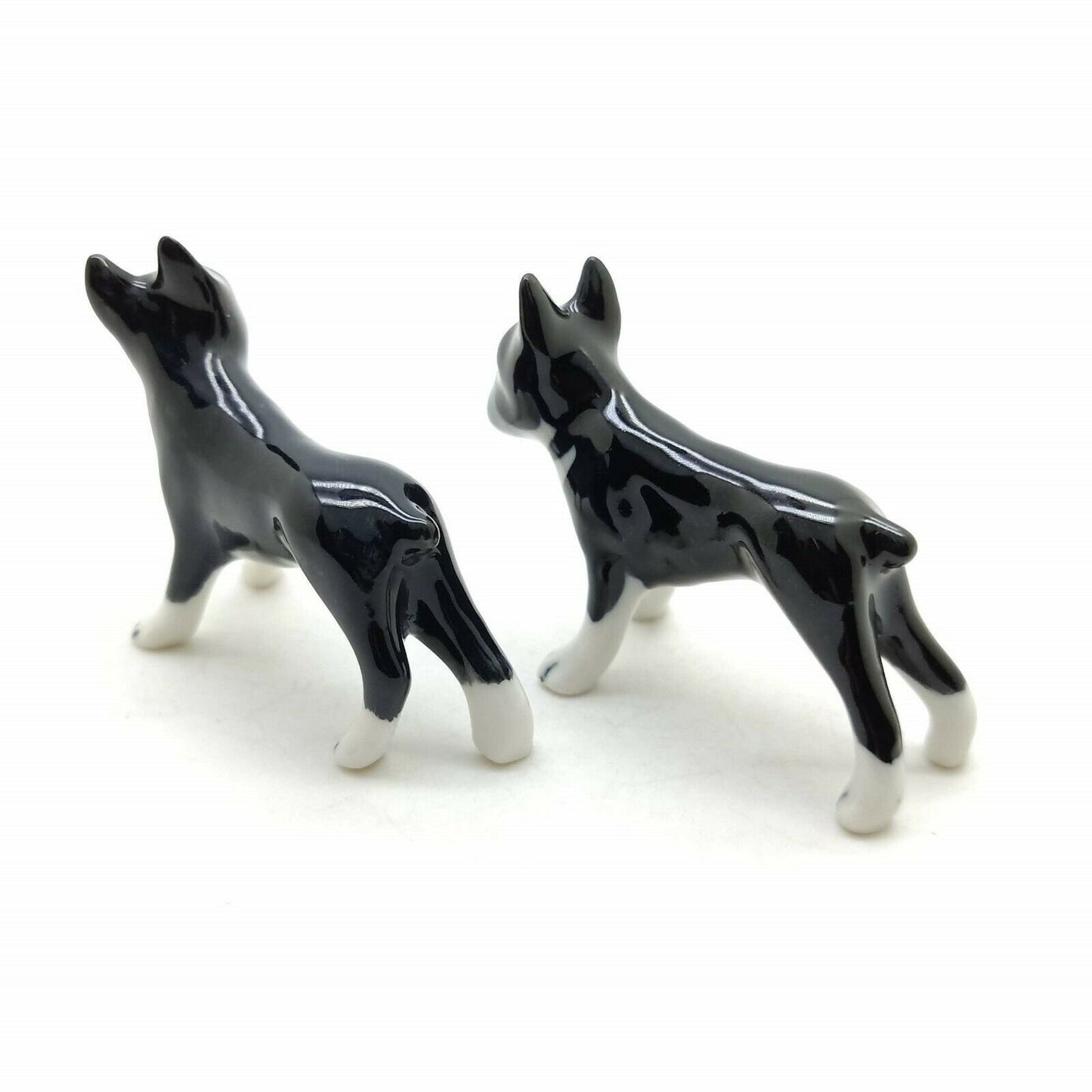 Boston Terriers Twin