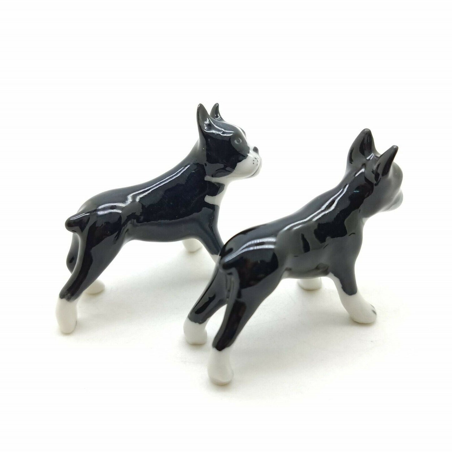 Boston Terriers Twin