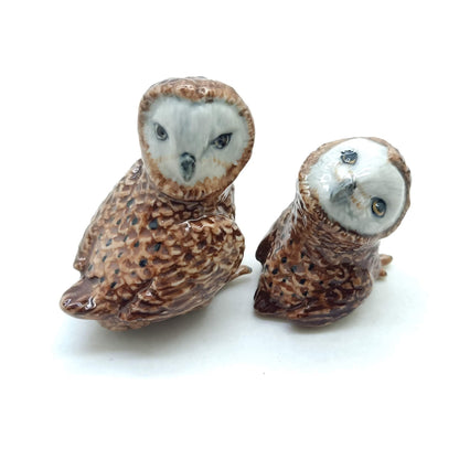 2 Barn Owls