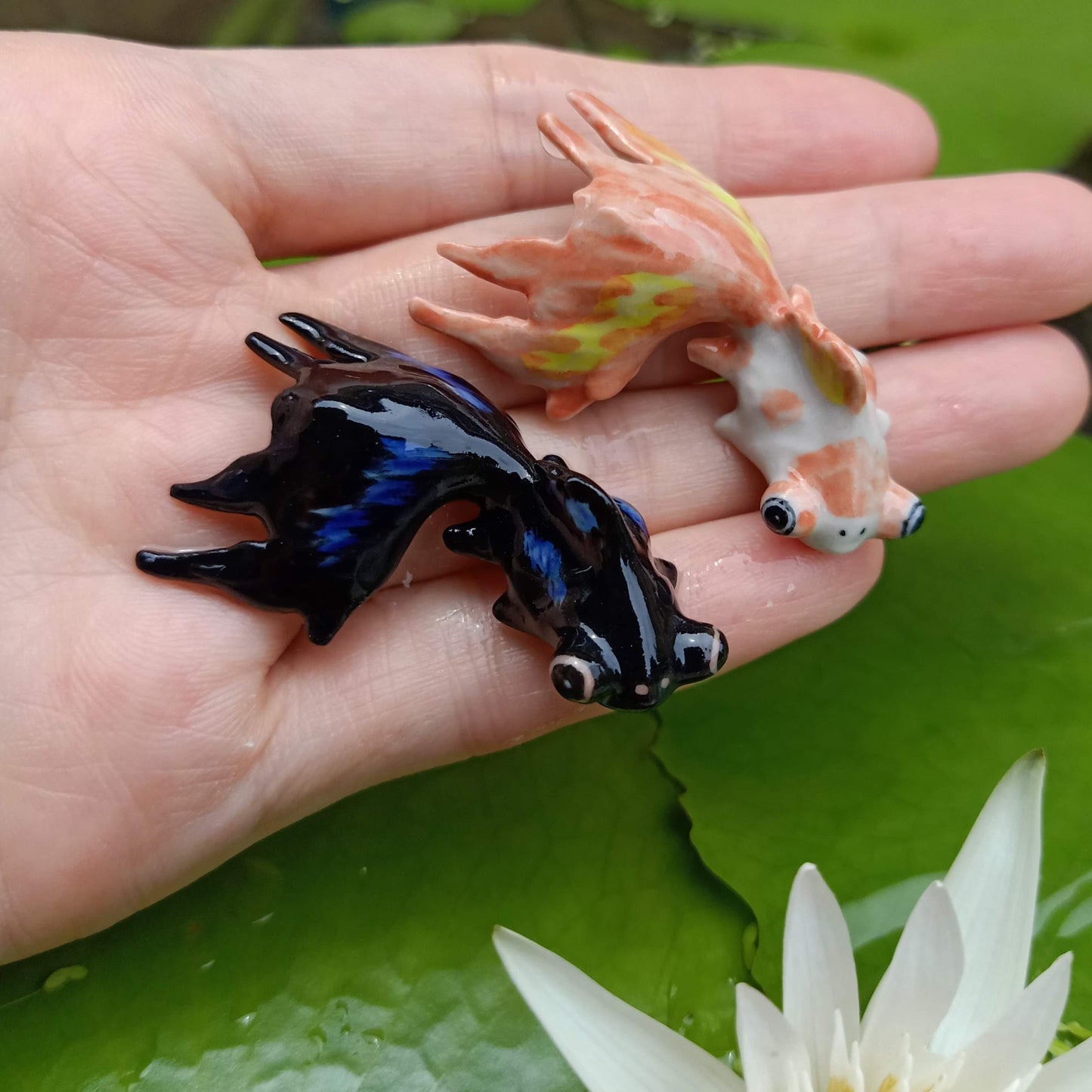 2 Telescope Eye Goldfish