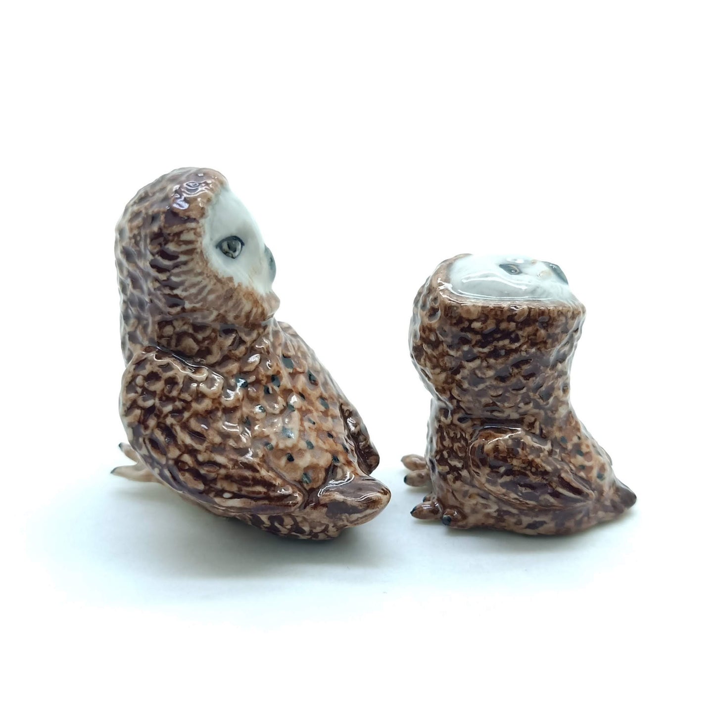 2 Barn Owls