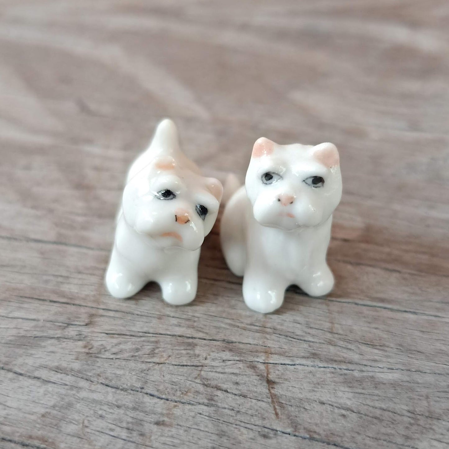 2 Tiny White West Terrier Dogs