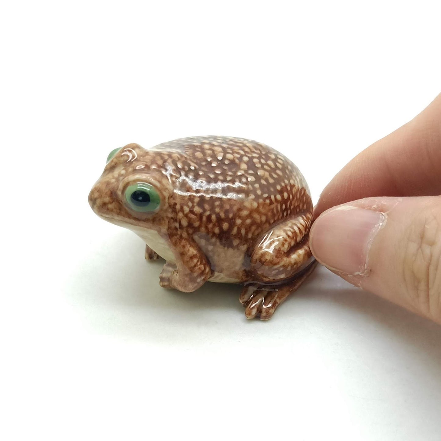 Toad Frog