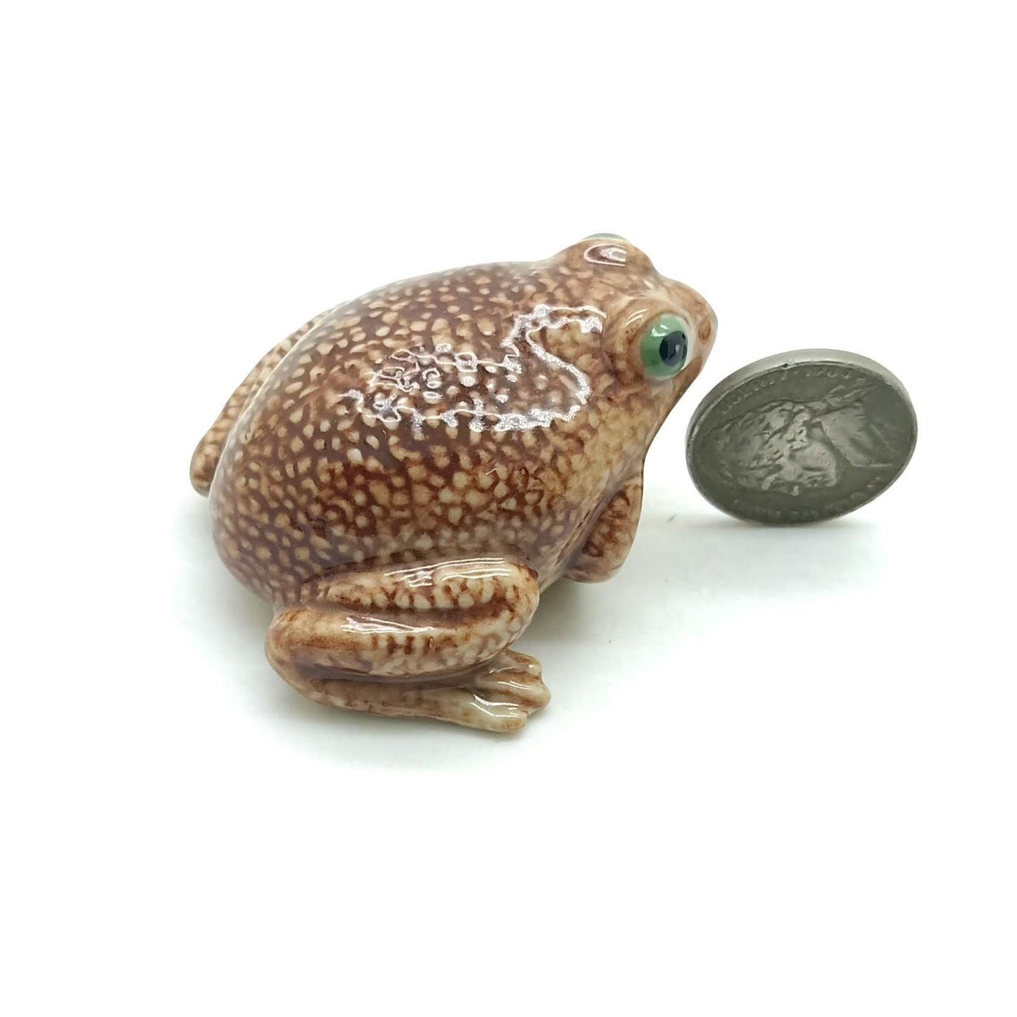 Toad Frog