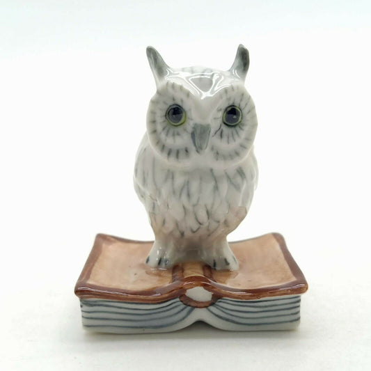 White Owl on Book