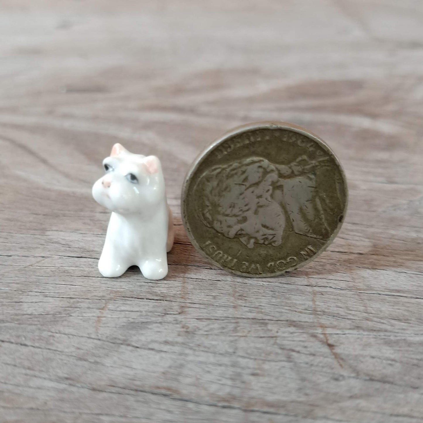 2 Tiny White West Terrier Dogs