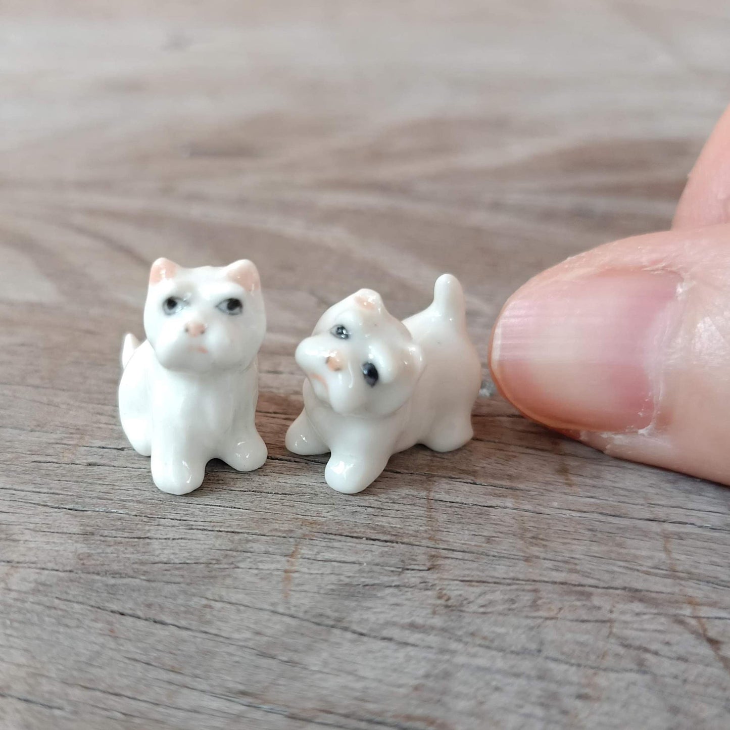 2 Tiny White West Terrier Dogs