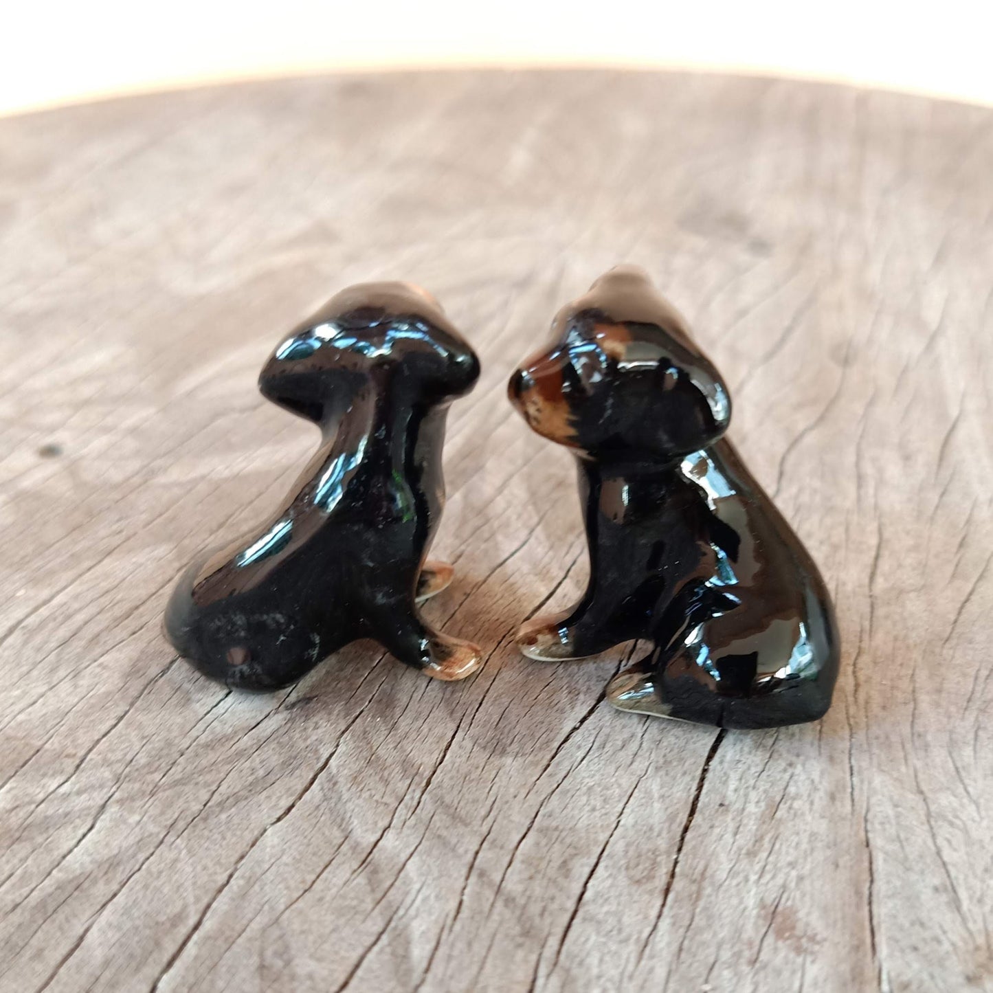 2 Black Dachshund Puppies