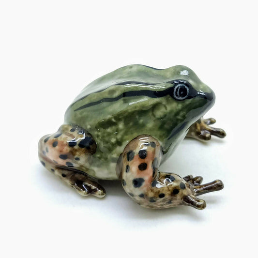 Green Striped Frog