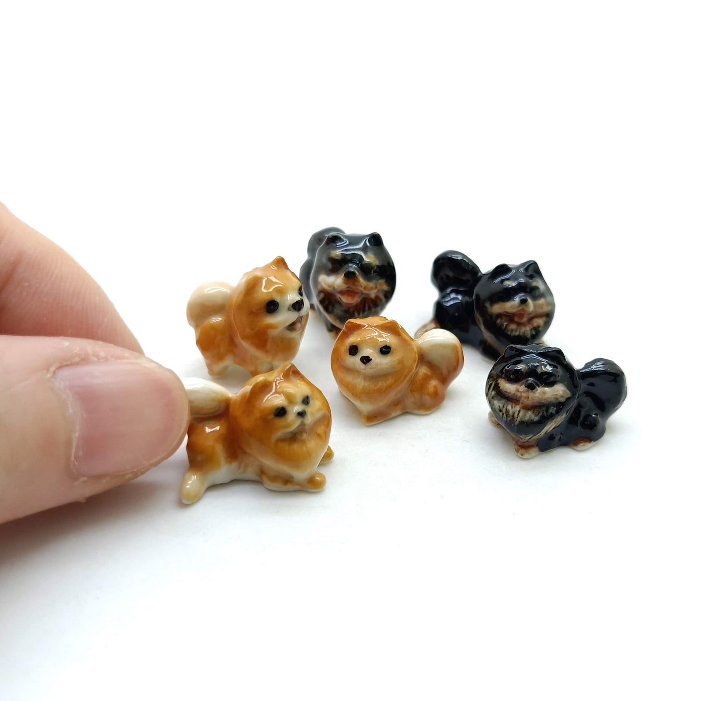3 Tiny Pomeranian Dogs