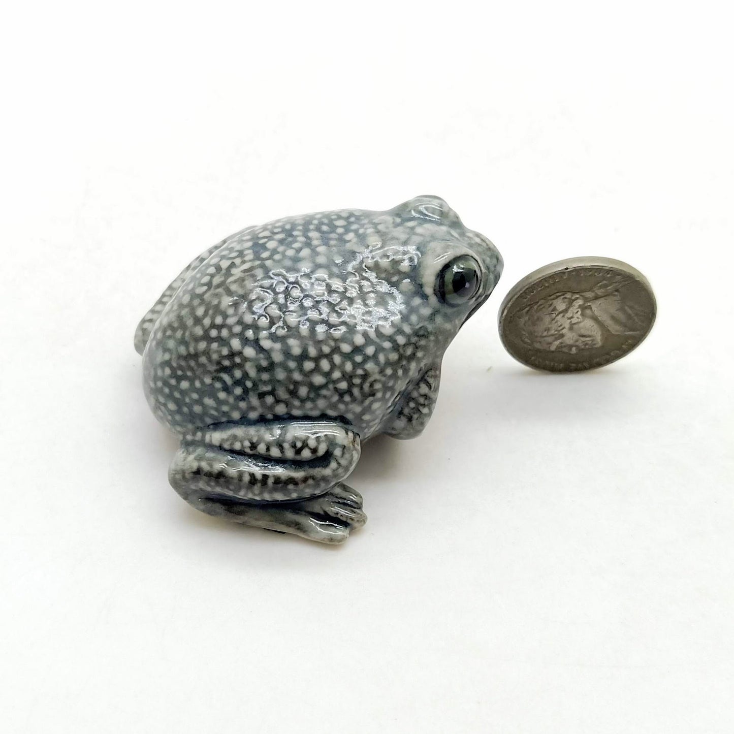 Toad Frog