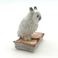 White Owl on Book