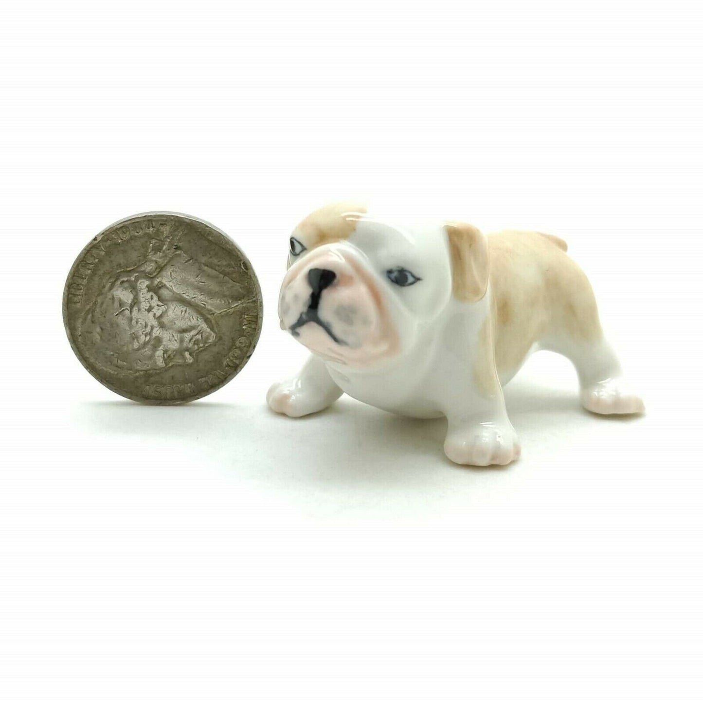 Bulldog Duo