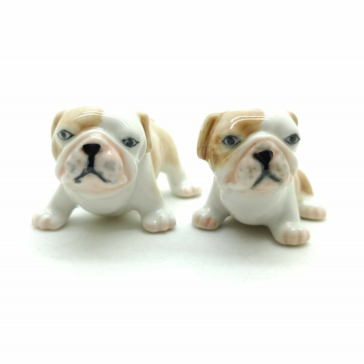 Bulldog Duo