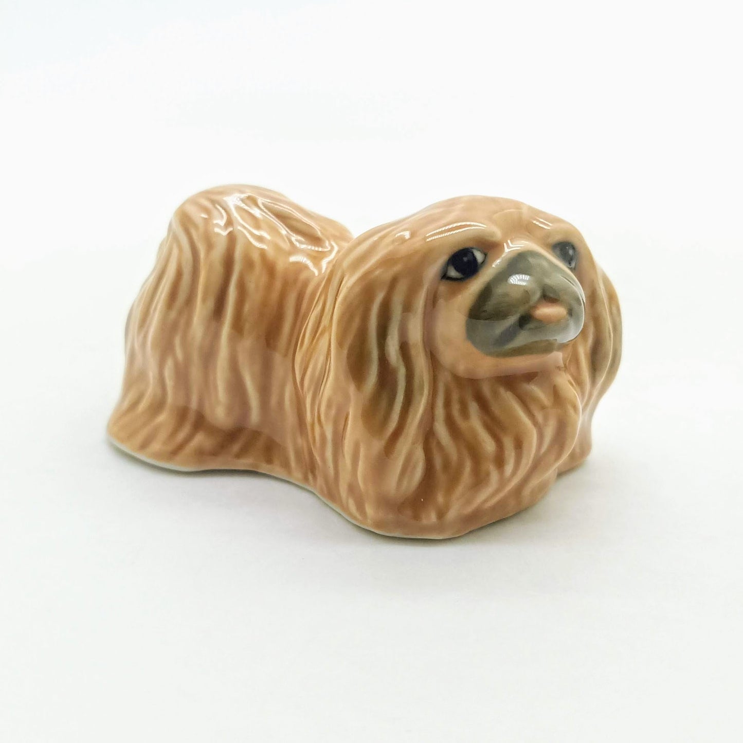 Pekingese Dog