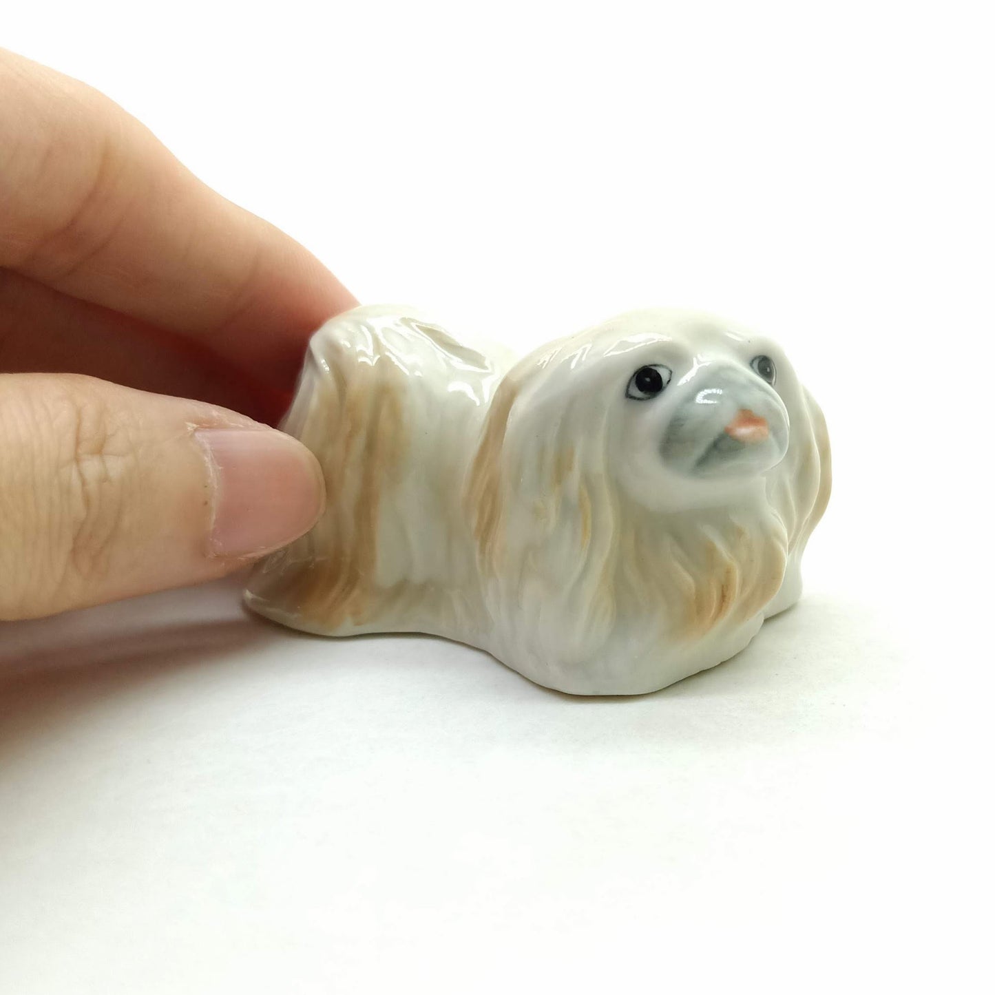 Pekingese Dog