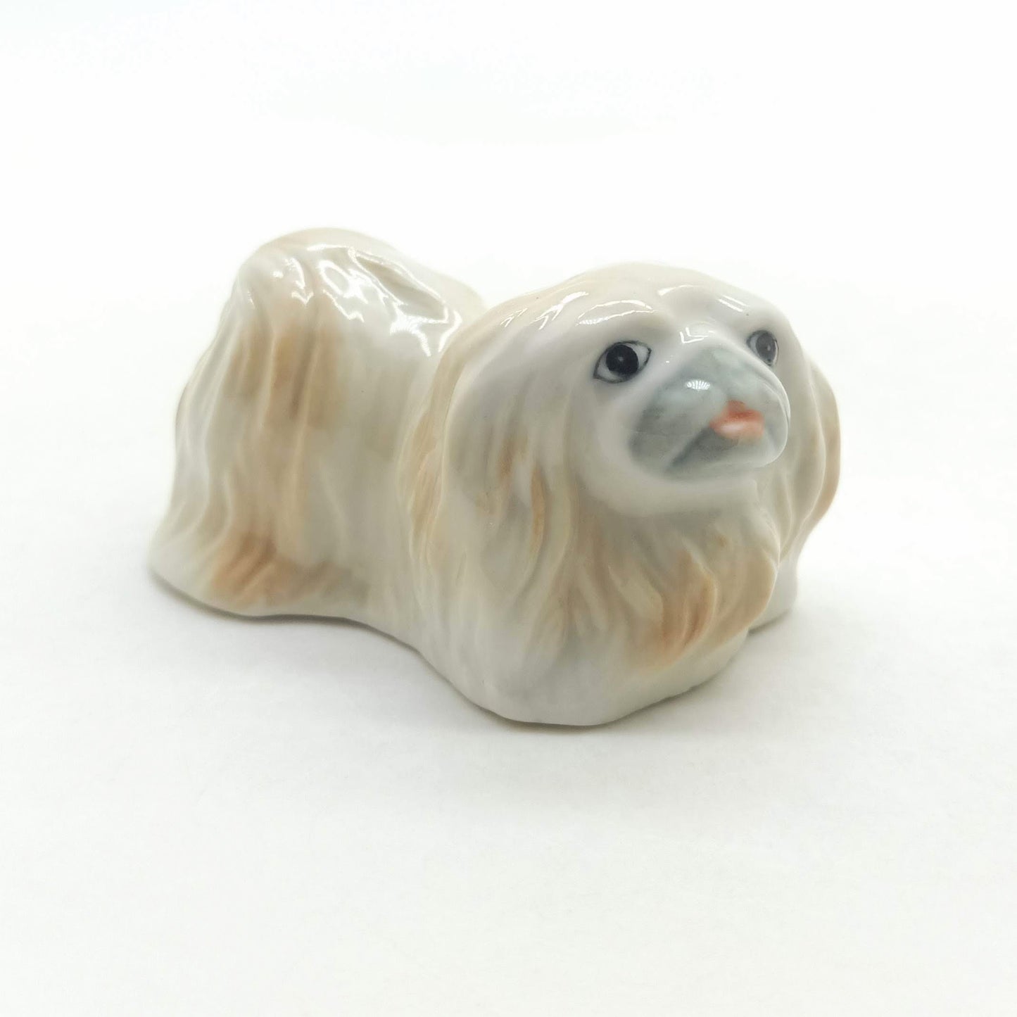 Pekingese Dog
