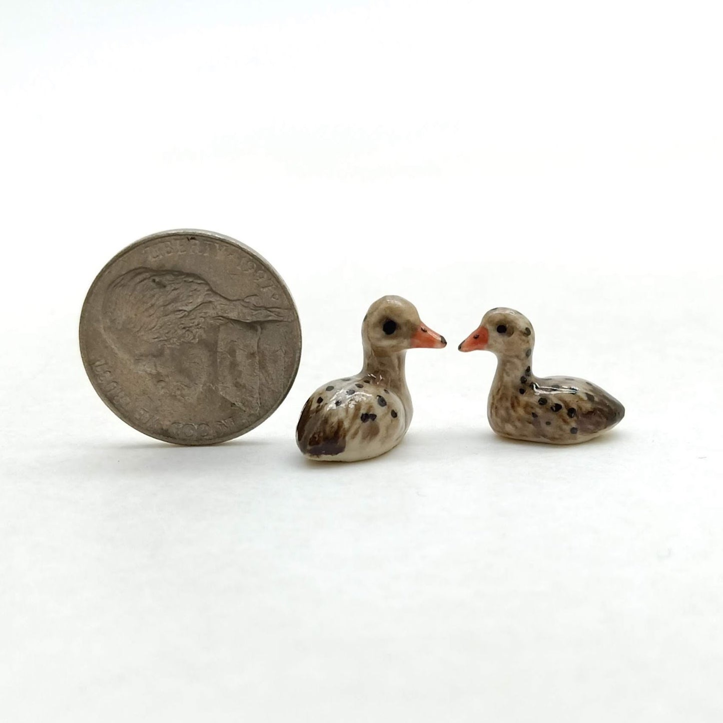 Mallard Duck Family