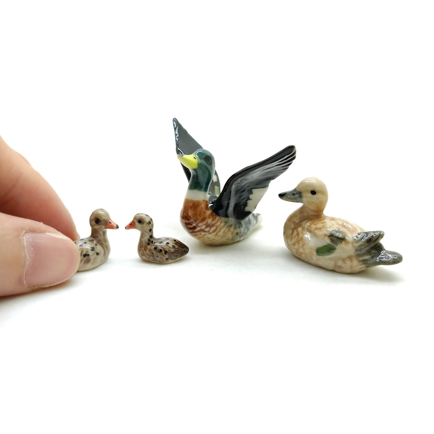 Mallard Duck Family