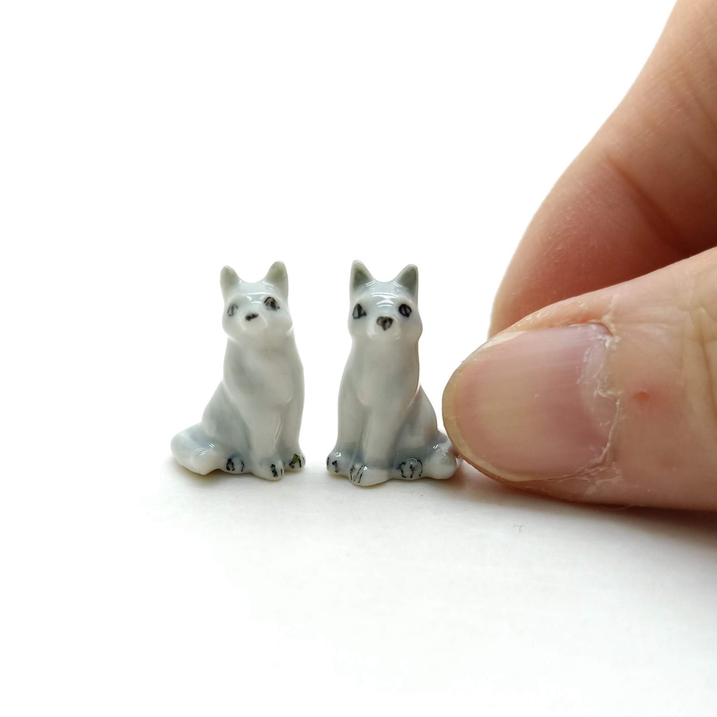 2 Tiny Foxes