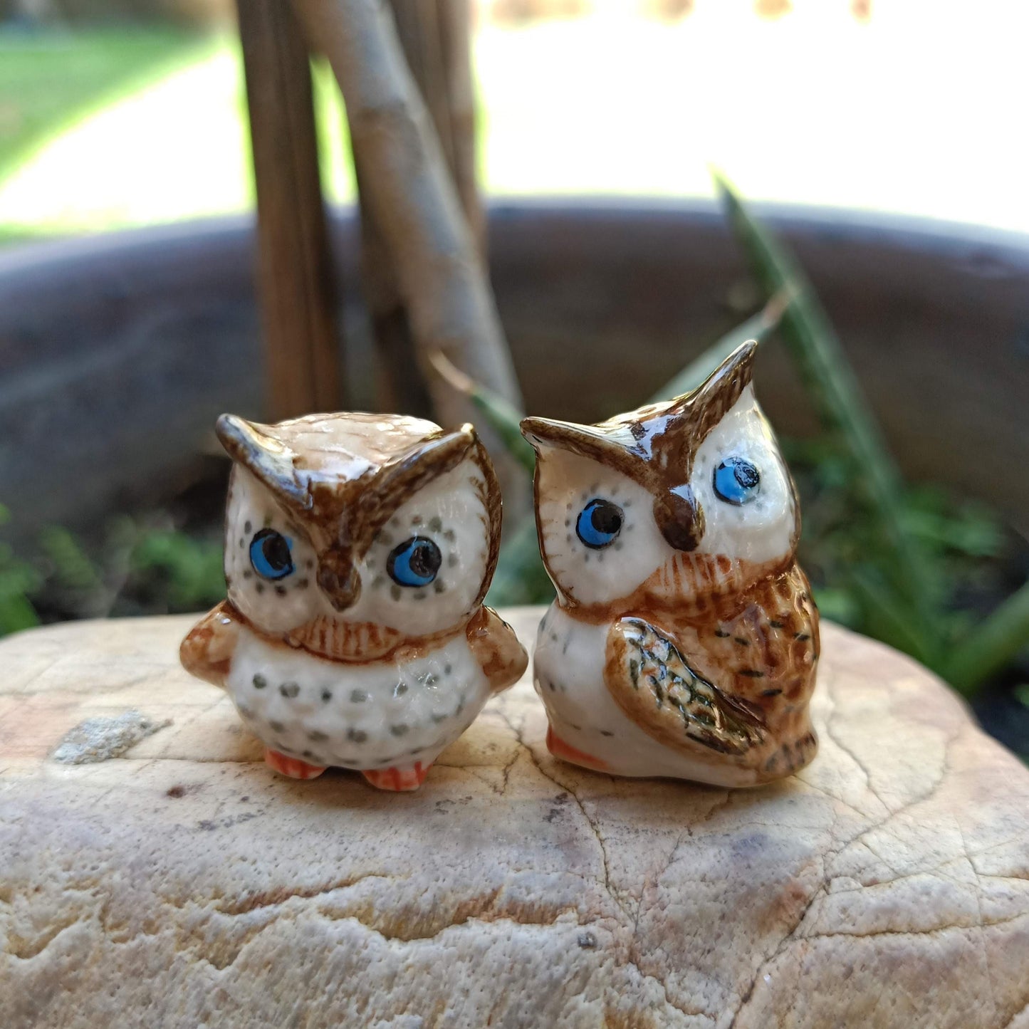 2 Brown Owl Set
