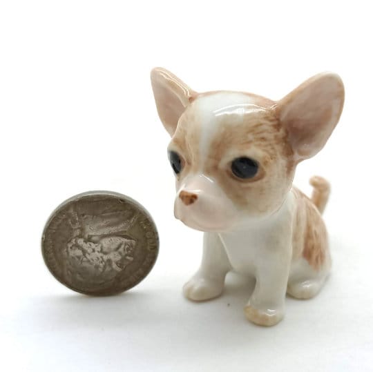 2 Chihuahua Pups