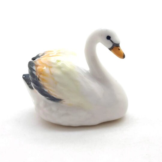 Swan