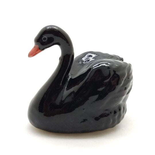 Swan