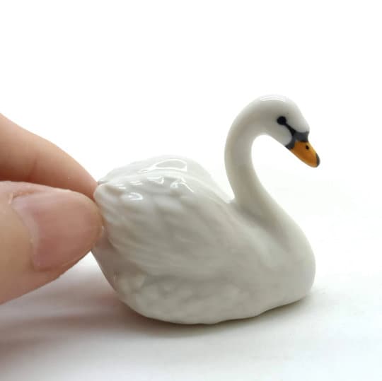 Swan