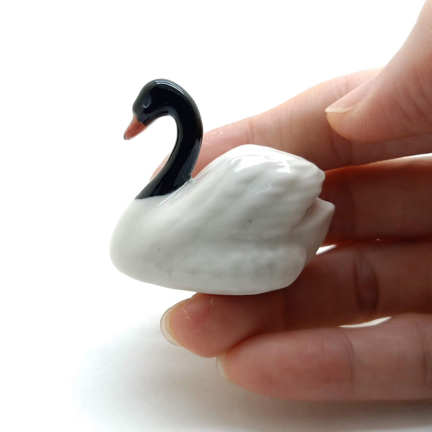 Swan