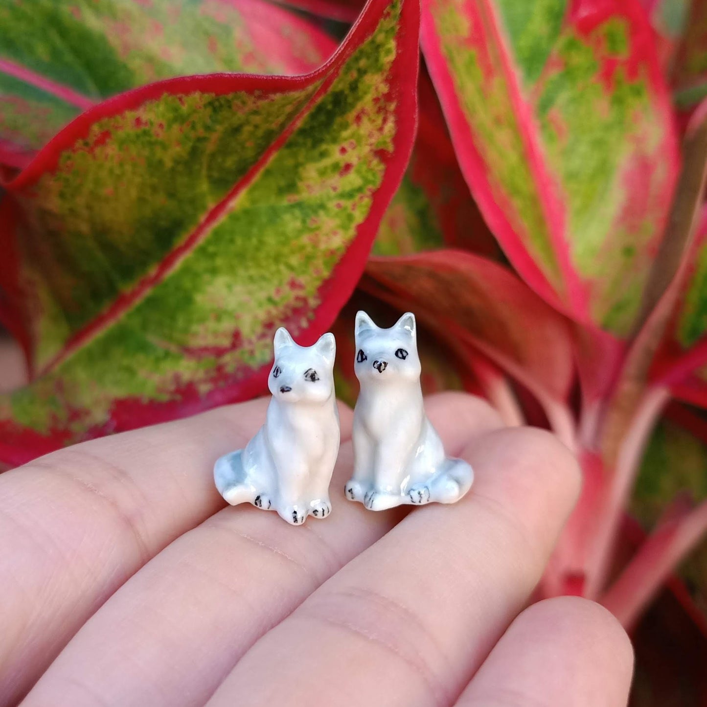 2 Tiny Foxes
